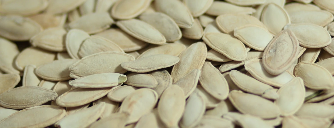 pestki dyni w&nbsp;łusce